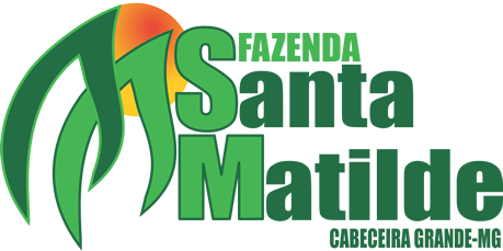 A imagem apresenta o logotipo da renomada Empresa Fazenda Santa Matilde, referência no setor Agropecuário Nacional.