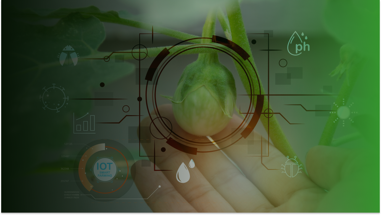 iCrop é aprovada em edital de I&D de Portugal