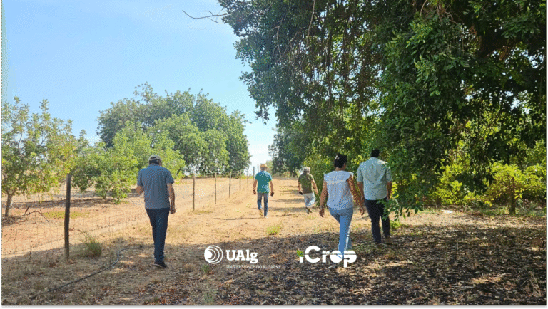 iCrop visita produtores agrícolas para validar soluções inovadoras no âmbito do projeto de I&D PT2030